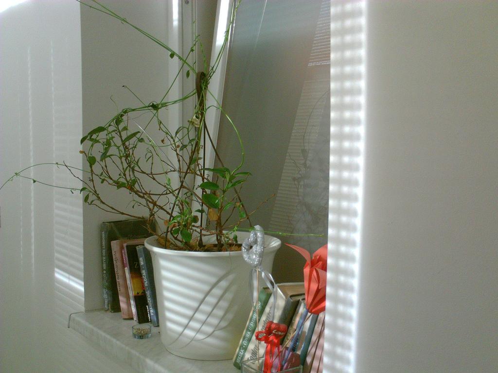 דארובר Rooms Vendi חדר תמונה